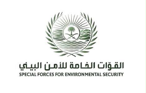 ضبط مخالفات بيئية للرواسب والرعي الجائر في المدينة