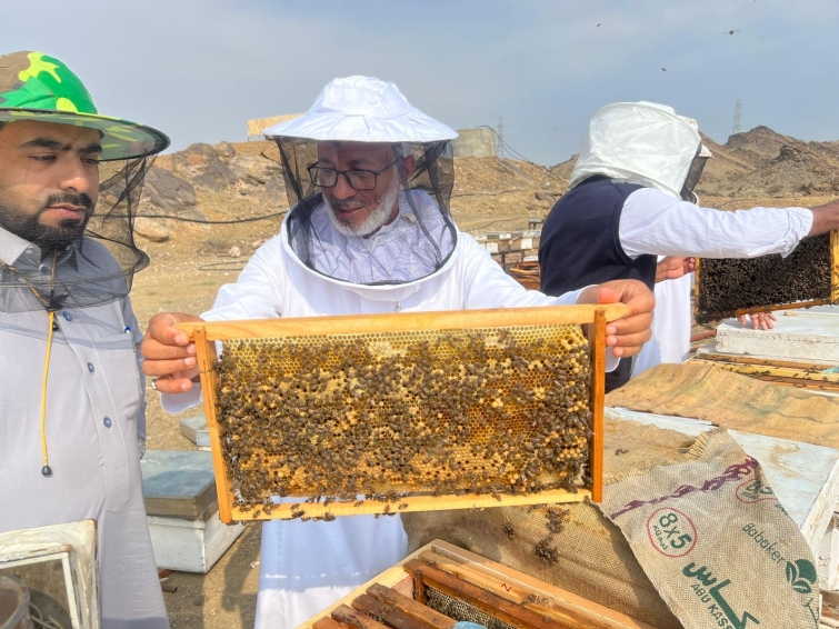خبراء يقدمون الدعم لمربيي النحل