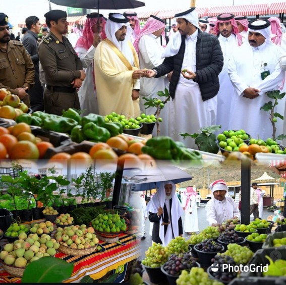 تدشين مهرجان الفواكه الموسمية بمحافظة أحد رفيدة