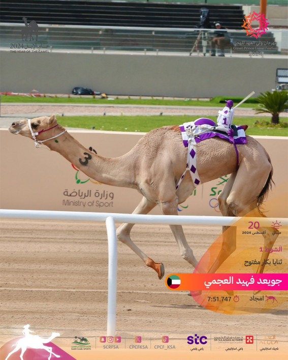 أمجاد .. المطية الأفضل في منافسات "الثنايا"