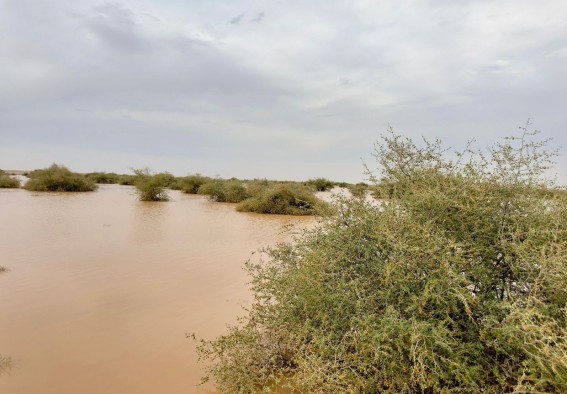 أمطار غزيرة تضرب مراكز جنوب وشرق رفحاء