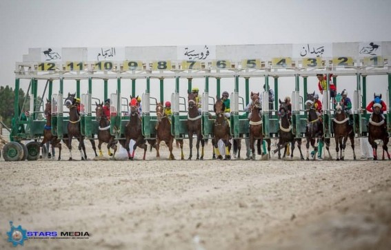 31 جواداً من ميدان الدمام يتأهبون للمشاركة بميدان الملك عبدالعزيز بالرياض