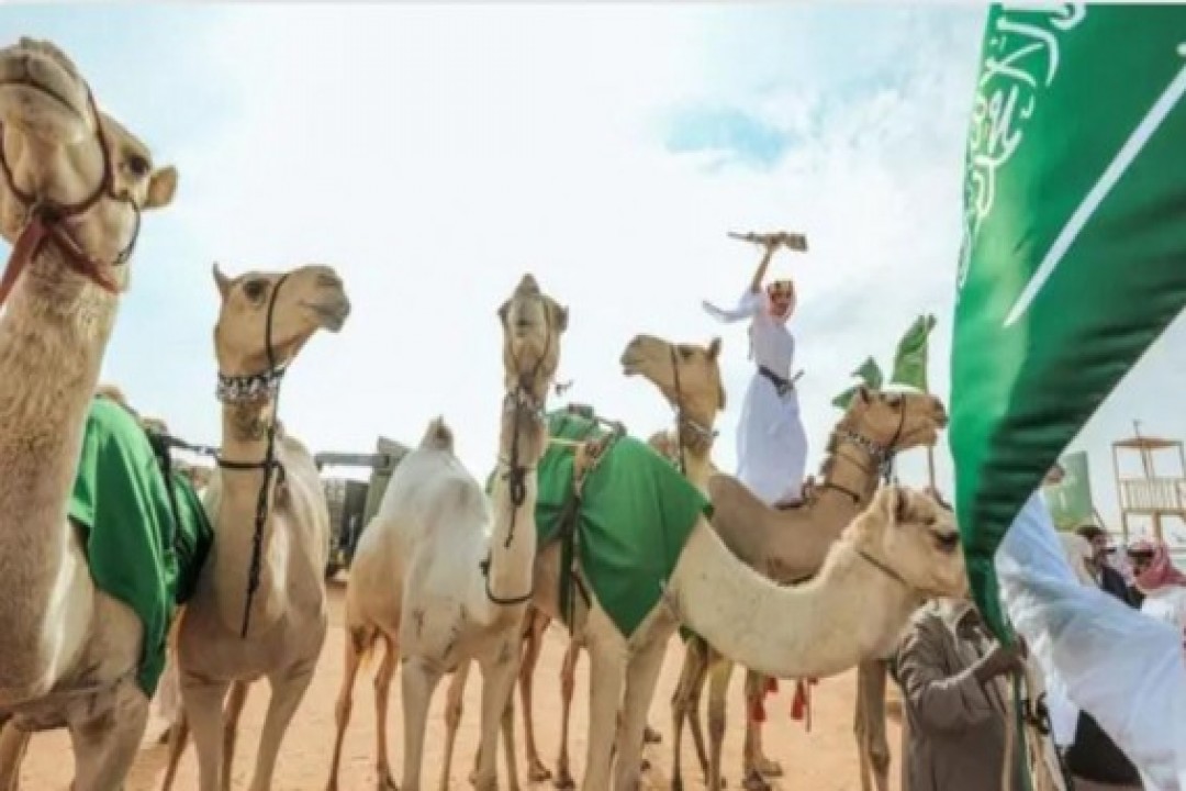 برعاية ولي العهد.. الطائف تترقب ختام النسخة السابعة لمهرجان ولي العهد للهجن