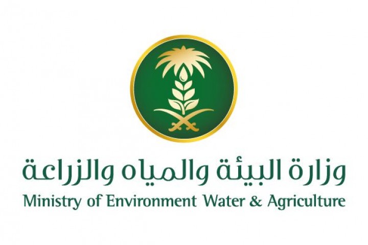 بيئة جدة تنفذ مبادرة لتوزيع الشتلات بسوق الأنعام بالخمرة