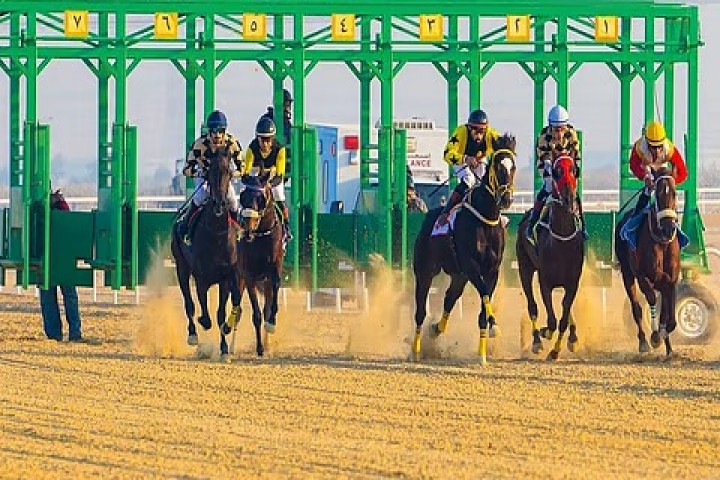 ميدان فروسية نجران يقيم سباقه السابع برعاية "الاتصالات السعودية"