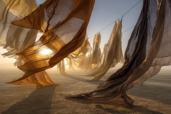 سيدةُ السراب