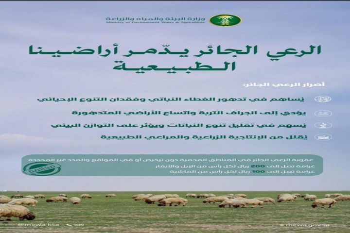 البيئة تحذر من الرعي الجائر لحماية الغطاء النباتي