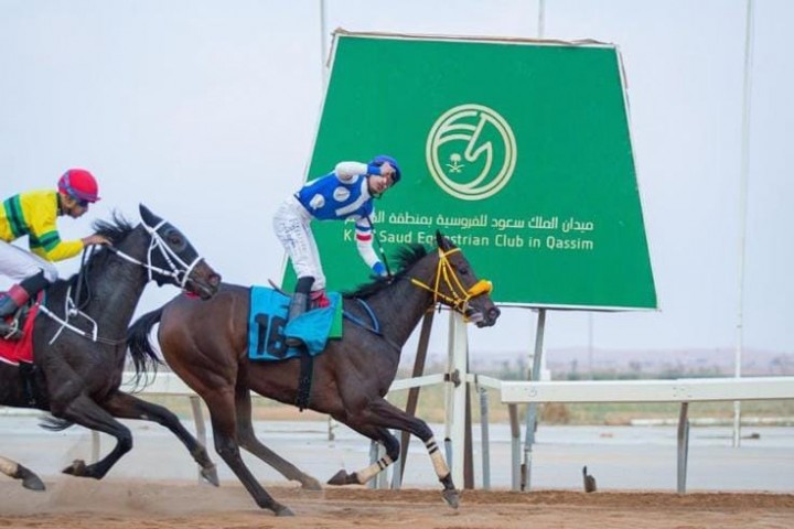 ميدان الملك سعود للفروسية بالقصيم يشهد تنافسًا قويًا