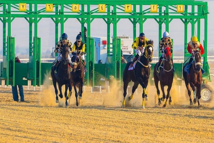 ميدان سباقات الخيل بنجران يدشن سباقه الثاني عشر للموسم