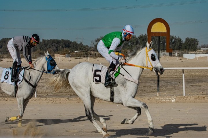 ستة جياد تمثل ميدان فروسية الدمام إلى بطولة بطل أبطال الميادين بالرياض