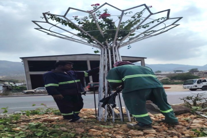 أعمال تحسين وتجميل للشارع العام في بحر أبو سكينة