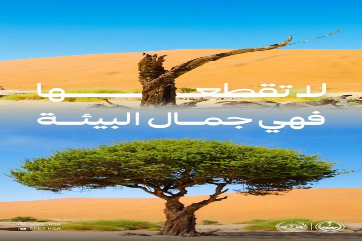 لا تقطعها.. شجرة واحدة قد تحمي بيئة كاملة