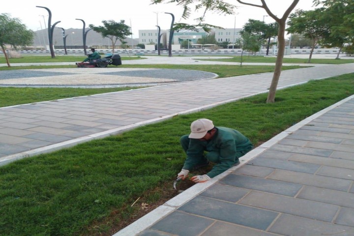 أمانة نجران تواصل جهودها لتحسين المشهد الحضري خلال رمضان