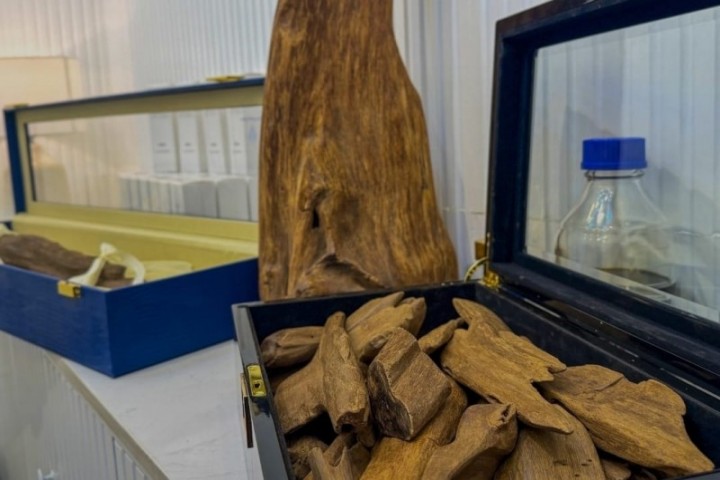 أسواق العود والبخور تشهد إقبالاً متزايداً بالرياض