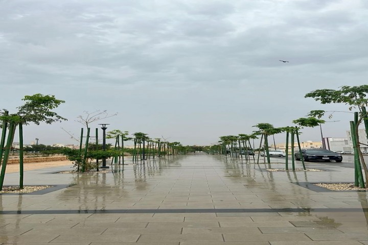 المملكة تتأثر بحالة جوية ممطرة مصحوبة برياح قوية وضباب