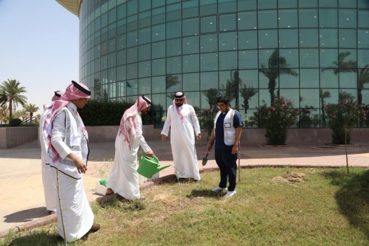 جامعة حفر الباطن تنفذ حملة لزراعة الشتلات ضمن مبادرة حفر الباطن أخضر