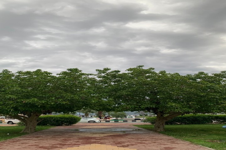 تقلبات جوية وأمطار رعدية على عدة مناطق بالمملكة