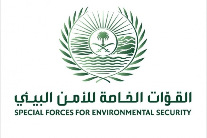 ضبط مخالفٍ بيئي بالمدينة المنورة لإشعال النار