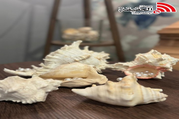 الأصداف تأملٌ بحريّ يوقظ صفاء الروح