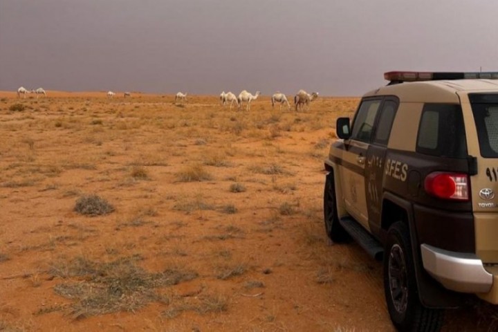 رصد رعي مخالف داخل محمية الإمام عبدالعزيز بن محمد