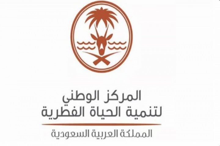 رصد قنديل البحر المقلوب مؤشرًا لصحة البيئة