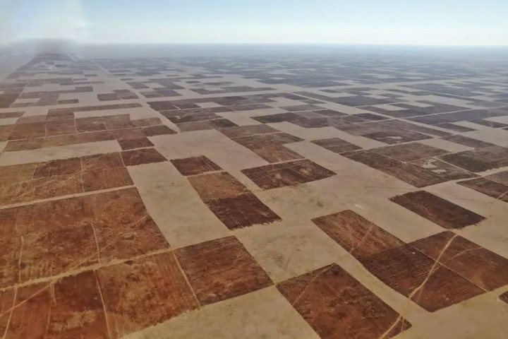 الحدود الشمالية.. وجهة طبيعية تجمع بين السياحة البيئية وثراء المراعي