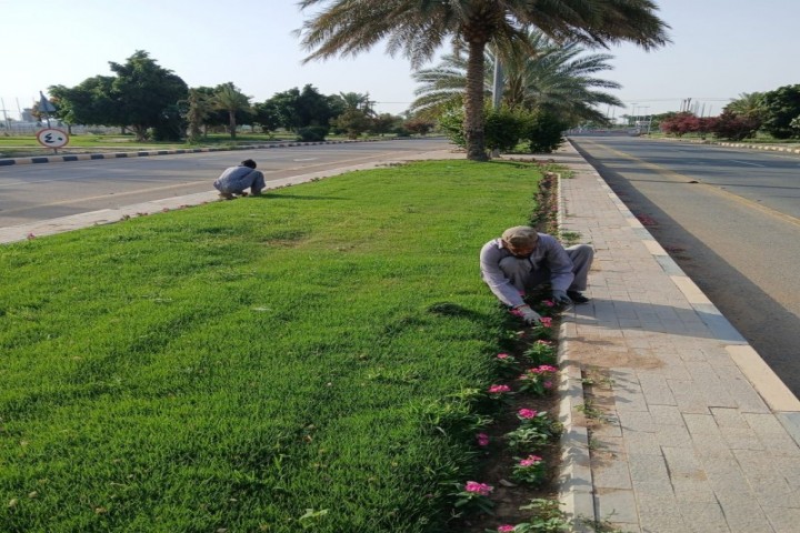 العناية بالمشهد الحضري تواصل تعزيز جمالية نجران وجودة الحياة