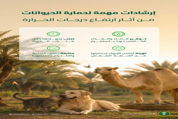 البيئة تنشر إرشادات لحماية الحيوانات من ارتفاع درجات الحرارة