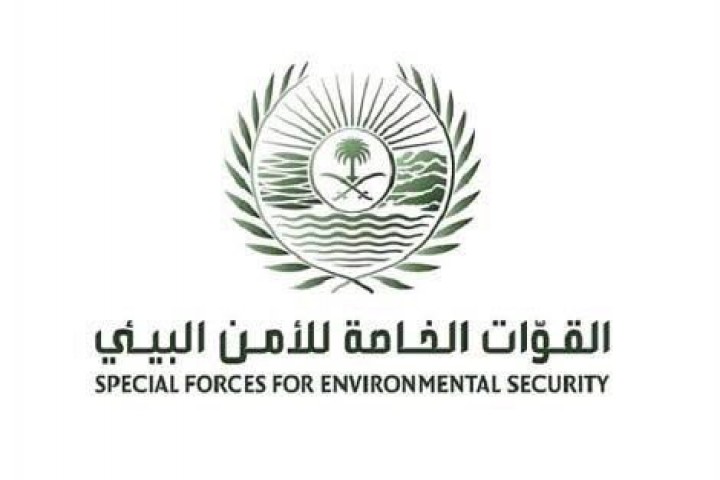 ضبط مخالفات بيئية للرواسب والرعي الجائر في المدينة