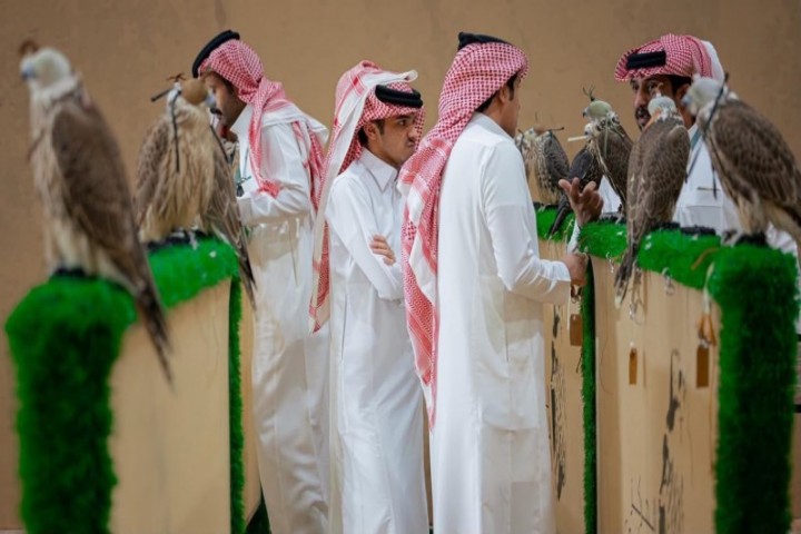 مزاد الصقور الدولي يستعرض تنوع الجير والشاهين والحر والهجين