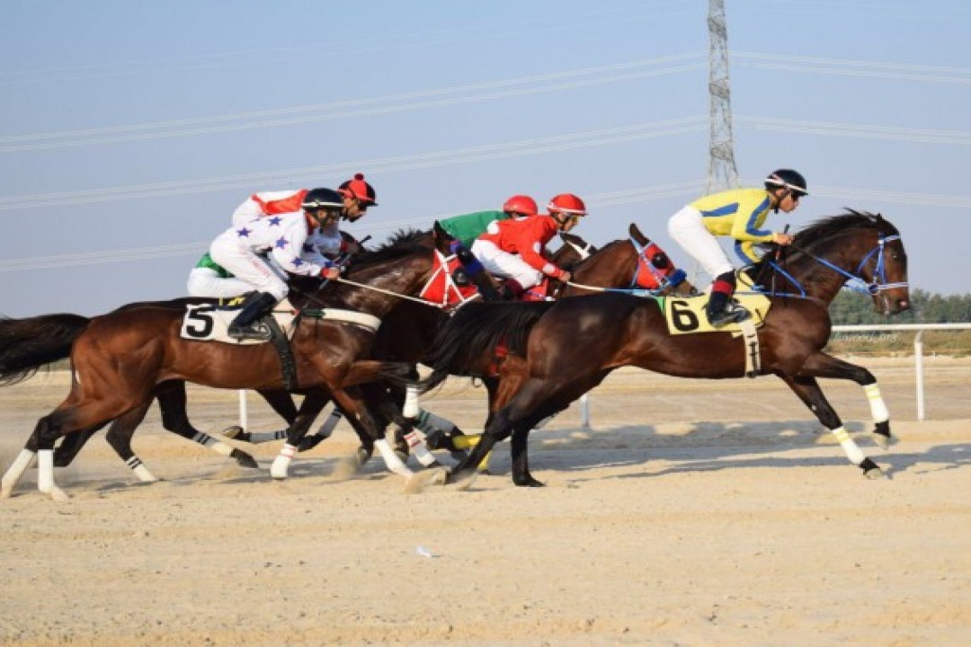 انطلاق منافسات سباقات الخيل في ميدان الفروسية بالدمام الجمعة المقبل